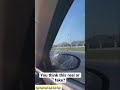 Cheetah Running Down Busy Highway Beside Cars Viral Comedy 804 Thefamily 305 Bd Drill