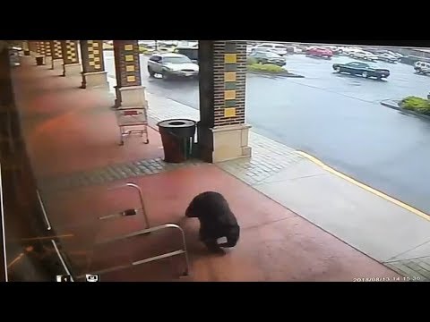 YouTube video about: What time does the liquor store close in ct?