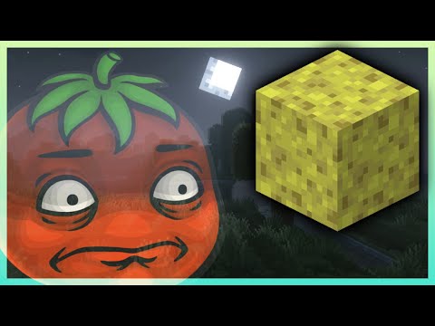 Sponges in a Minecraft Randomizer? Tomato's Trash!