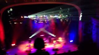 Babyshambles/8 Dead Boys