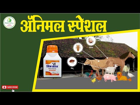 Liquid j animal special