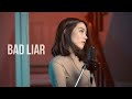 Bad Liar - Imagine Dragons | BILLbilly01 ft. PAAM Cover