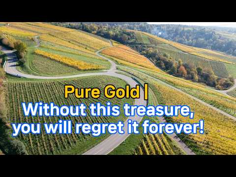 980. Pure Gold 3 | 이 영생의 보물이 없으면, 당신은 영원히 후회할 겁니다!