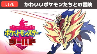 ポケモンシールド(盾)で、wktk冒険　その11【ポケモン剣盾】