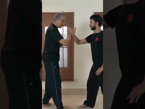 Mestre Shaolin Kungfu demonstra habilidades internas de alto nível