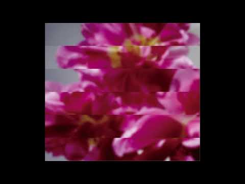 Mondo Grosso - 何度でも新しく生まれる [2017 Full Album]