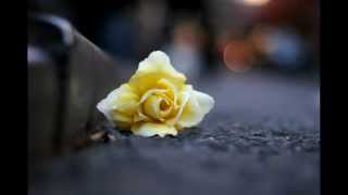 Max Richter - Flowers For Yulia