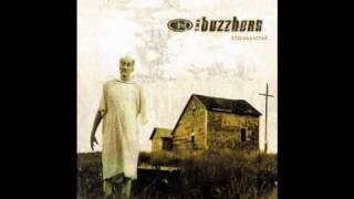 The Buzzhorn - Holy Man [HQ Audio]