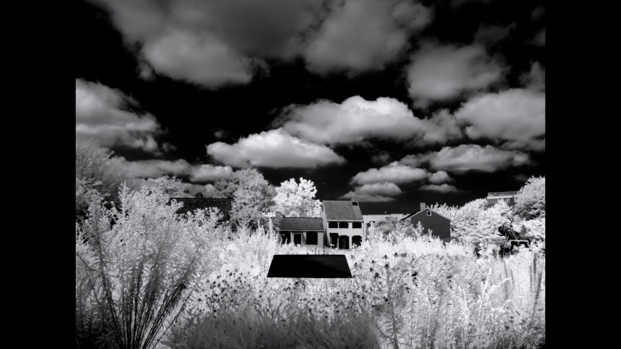 Common – ”Letter to the Free”