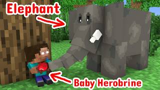 Baby Herobrine Life! - Minecraft animation