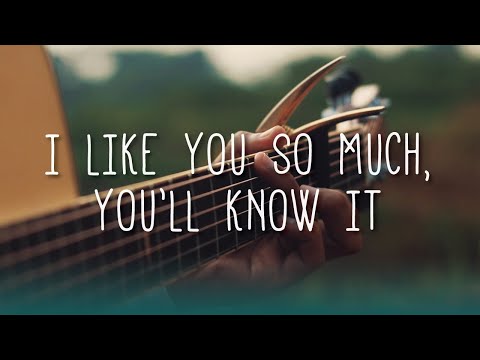 I Like You So Much, You’ll Know It (我多喜欢你，你会知道) - A Love So Beautiful OST [Fingerstyle Cover]