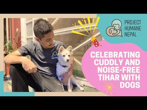 Celebrating cracker-free Tihar with our beloved dogs!