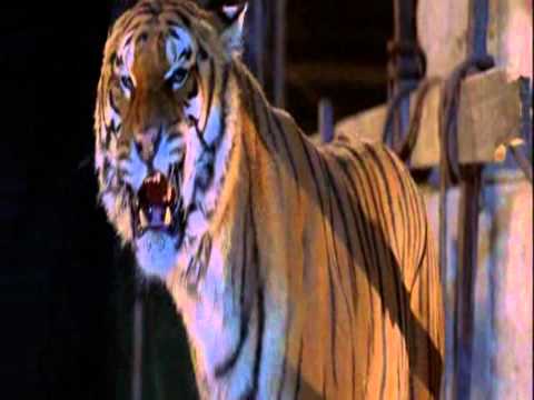 The Bad Superhero Trailer 2