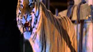 The Bad Superhero Trailer 2