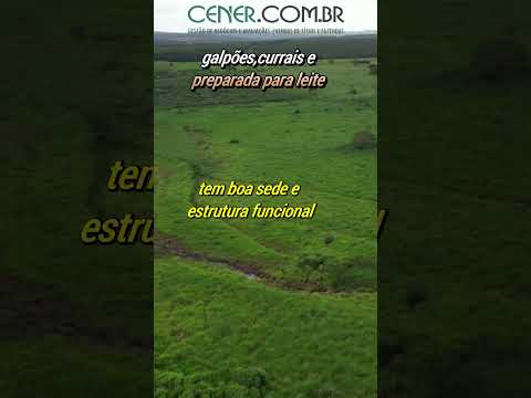 Cener 2996 Fazenda de 610 ha com outorga por 9 800 mil reg  Abaeté MG #shorts