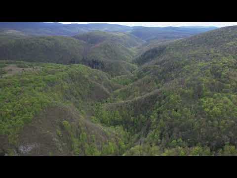 Rezervația Naturală Cheile Carasului !