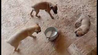 انصحوني غيرت المولود الميت بالحي  الغير الشرعي