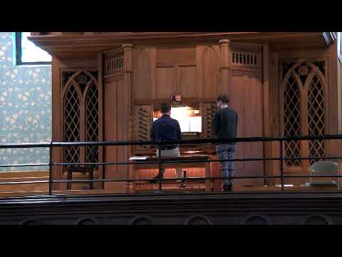 Emma Louise Ashford (1850-1930) - Reverie