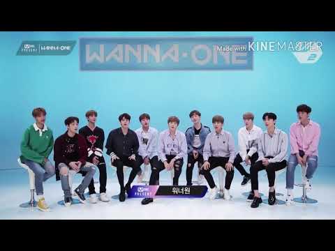 Wanna One 1st Anniversary
