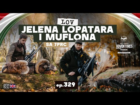 Lov Jelena Lopatara i Muflona u Madjarskoj |Savage 110 KLYM 7PRC| Fallow Buck and Muflon hunt  E329