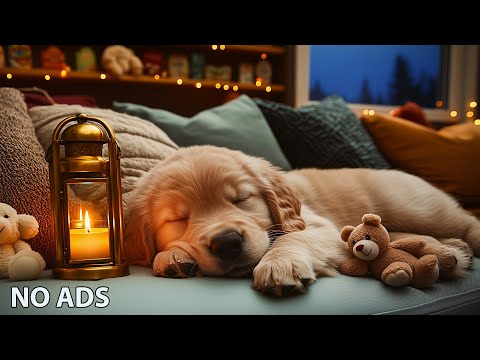 12 Hours Dog Soothing Music🎵Dog Healing Music for Dogs Deep Sleep🐶 🎵Chilling Music for Dog💖⭐No Ads