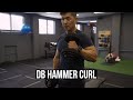 Dumbbell hammer curl