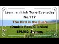117 The Bird in the Bush (Double Reel, G Ionian)