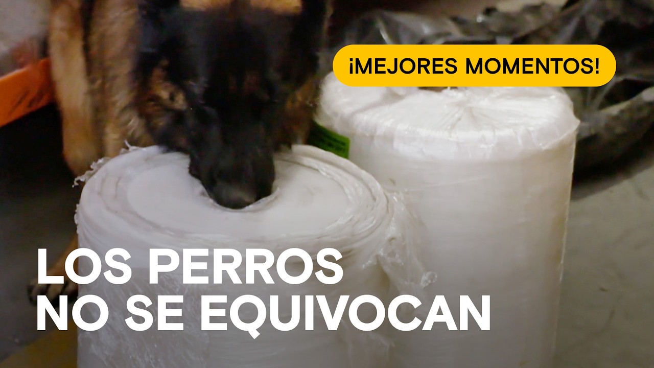 🇧🇷🇨🇴🇲🇽 ESCONDITES IMPOSIBLES: Ingenio criminal y depósitos clandestinos - ¡ALTO! FRONTERA