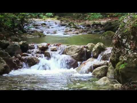 Absolute tranquility with the sound of flowing water - relaxation