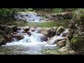 Absolute Tranquility With The Sound Of Flowing Water Relaxation