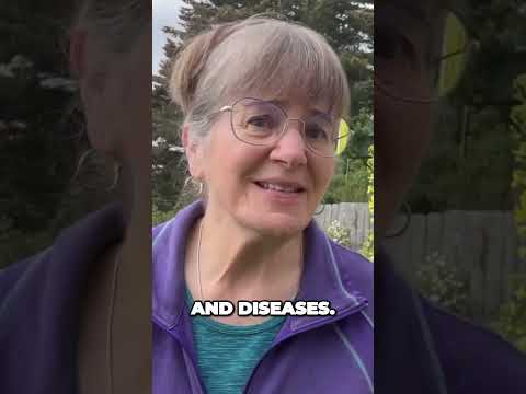 Do You Grow Vegetables? Don't Put Off Crop Rotation!