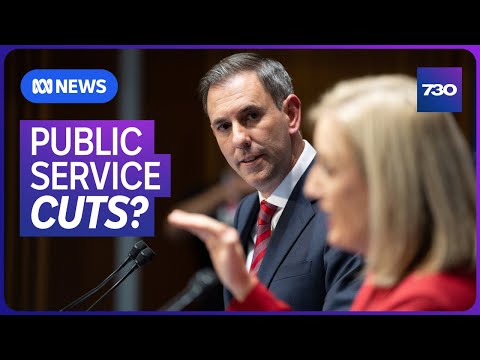Job cuts feared as government asks public service to find efficiencies | 7.30