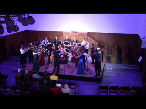 Haydn - Symphony No. 45 "Farewell" in F Sharp Minor - 1st mov. - Ars Excelsis Ensemble