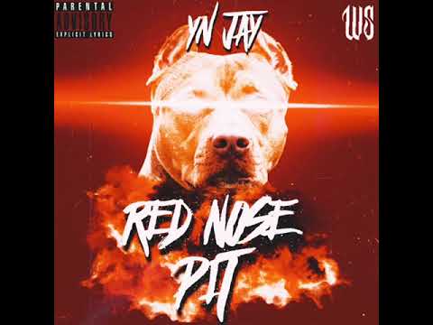 Video thumbnail for Red Nose Pit