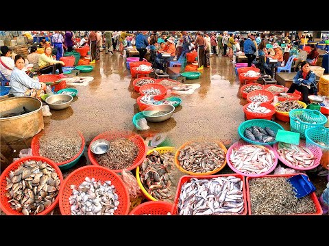 Cambodian Wet Market. Daily Food, Largest Fish Distribution Area in Phnom Penh.