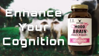 I Tried Heart & Soil Mood, Memory & Brain (Honest Review)