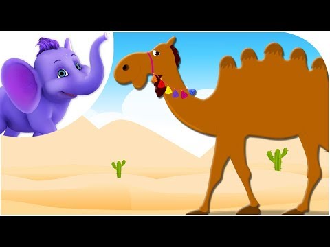 Alice The Camel - Nursery Rhyme with Karaoke