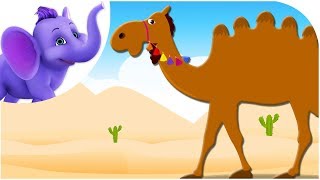 Alice The Camel - Nursery Rhyme with Karaoke