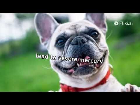 Can Dogs Eat Tuna? Guidelines and Benefits for Safe Consumption