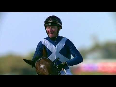 SUN BET,ROAD TO DWC PART 1