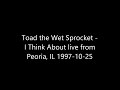 Toad the Wet Sprocket - I Think About live from Peoria, IL 10-25-1997