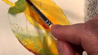 How to paint leaves in Watercolor - Watercolor DVD Preview