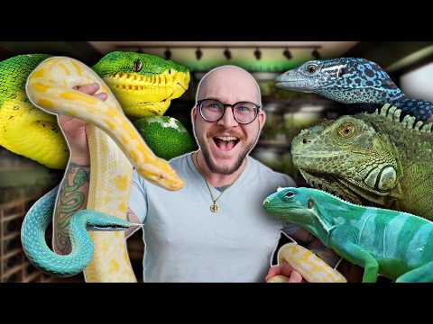 My Reptile Room Worth Over $25,000 !