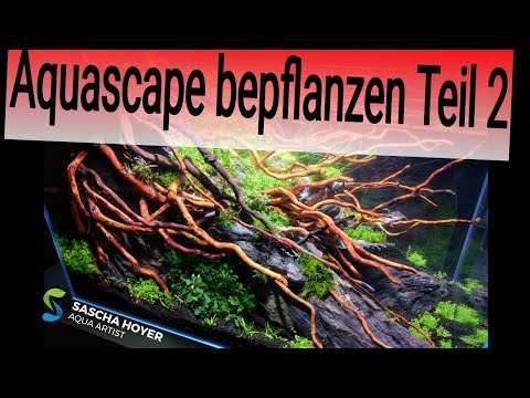 Das Streptozid von der Schuppenflechte Atopitscheski die Hautentzündung in 25 Jahre