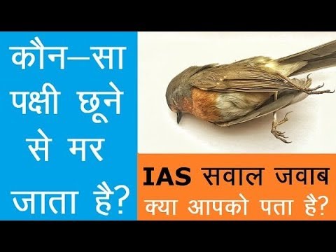 Ias sawal Kaun sa pakshi chhune se mar jata hai?
