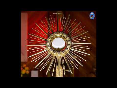 Czatachowa 27.11.2022 - Koronka do Bożego Miłosierdzia, Litania do Św.Jana Chrzciciela