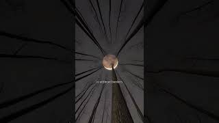 Download lagu 'Spirit lead me where my trust is without borders' #lyrics #shorts mp3