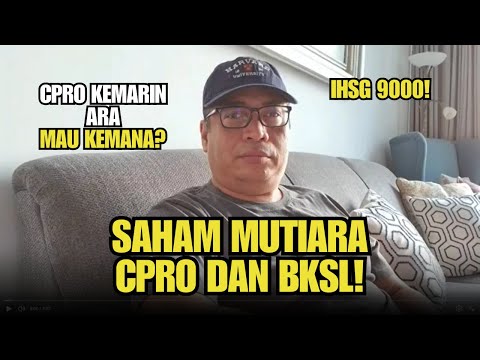 How to Find Pearl Stocks: Lessons from BKSL & CPRO Purchased by Norges Bank!