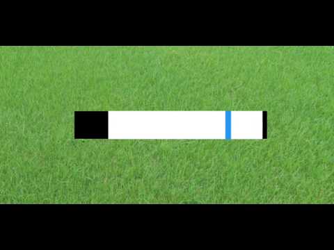 Arka Gdynia - Sandecja Nowy Sącz  [0-2] Gole