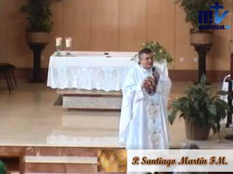 Homilía. Martes 15 de agosto de 2017. P. Santiago Martín
